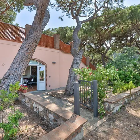 아파트 Margherita Capo D'arco